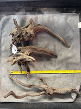 Load image into Gallery viewer, Black Forest Spider Wood