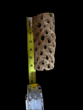 Load image into Gallery viewer, Cholla Wood Tubes - Various Sizes