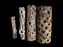 Load image into Gallery viewer, Cholla Wood Tubes - Various Sizes
