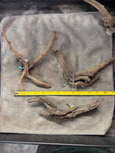 Load image into Gallery viewer, Black Forest Spider Wood