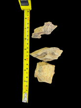 Load image into Gallery viewer, Dragon Stone (Ohko Stone)