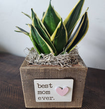 Load image into Gallery viewer, Rustic Best Mom Ever Reclaimed Wood Planter Box