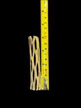Load image into Gallery viewer, Cholla Wood Tubes - Various Sizes