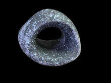 Load image into Gallery viewer, Shrimp Cave - Multiple Styles Available