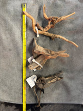 Load image into Gallery viewer, Black Forest Spider Wood