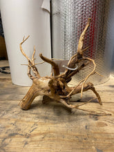 Load image into Gallery viewer, Spider Wood