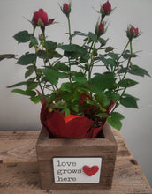 Load image into Gallery viewer, Rustic Love Grows Here Reclaimed Wood Planter / Box
