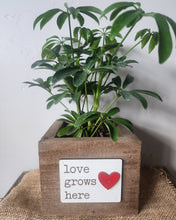 Load image into Gallery viewer, Rustic Love Grows Here Reclaimed Wood Planter / Box

