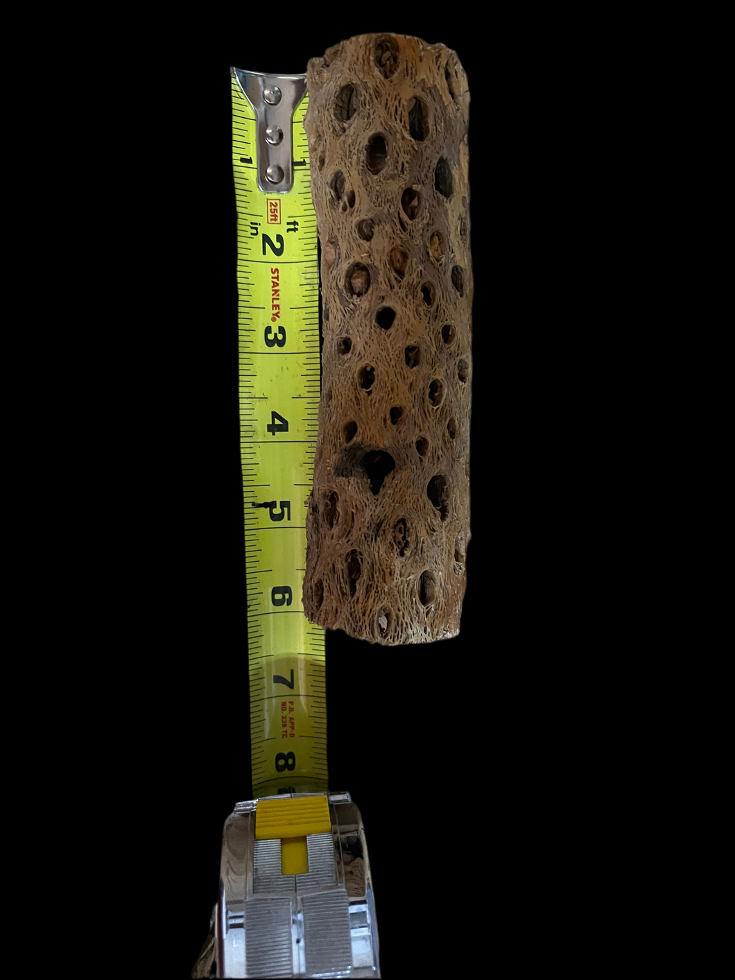 Cholla Wood Tubes - Various Sizes