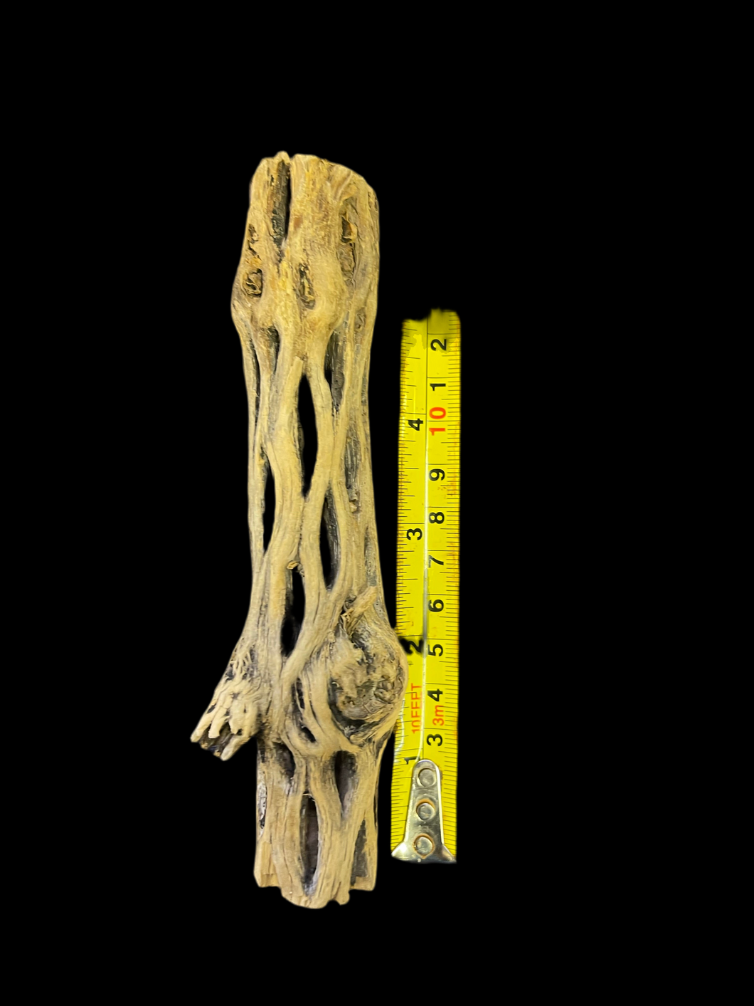 Cholla Wood Tubes - Various Sizes